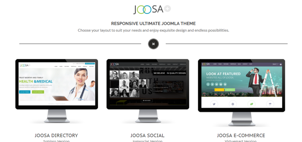 Joosa is an ultimate responsive theme.