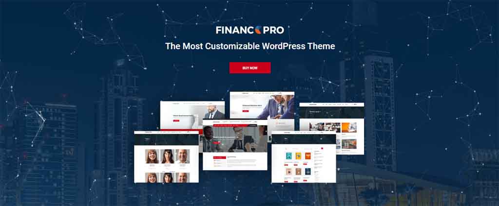 finance organization consultant theme