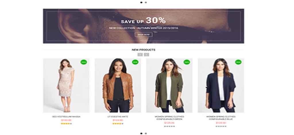 Free magento eCommerce template