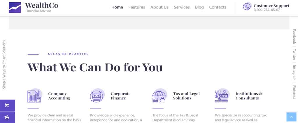 tax consultant theme