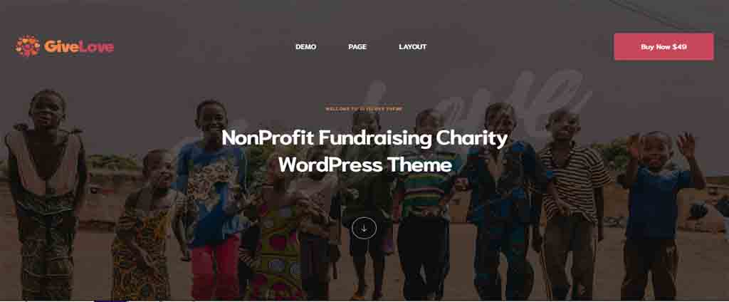 Charity & Crowdfunding WordPress