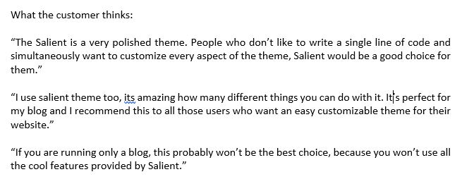 Salient Theme customer review