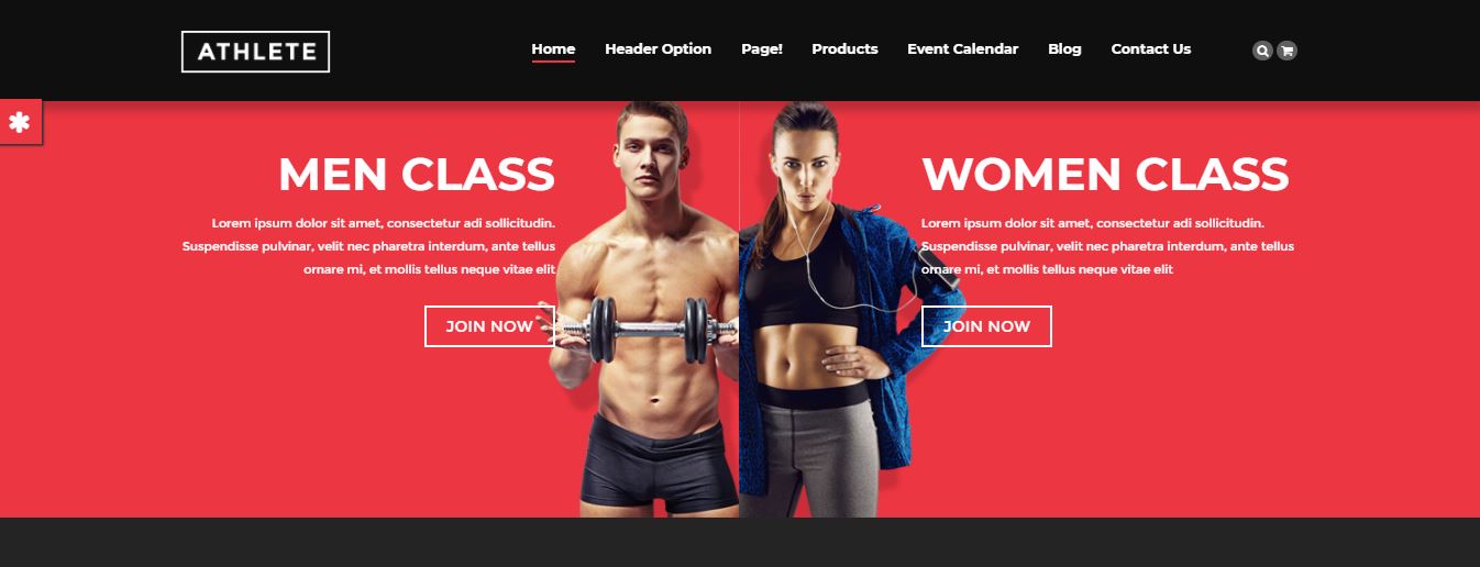 Null Athlete is the WordPress theme