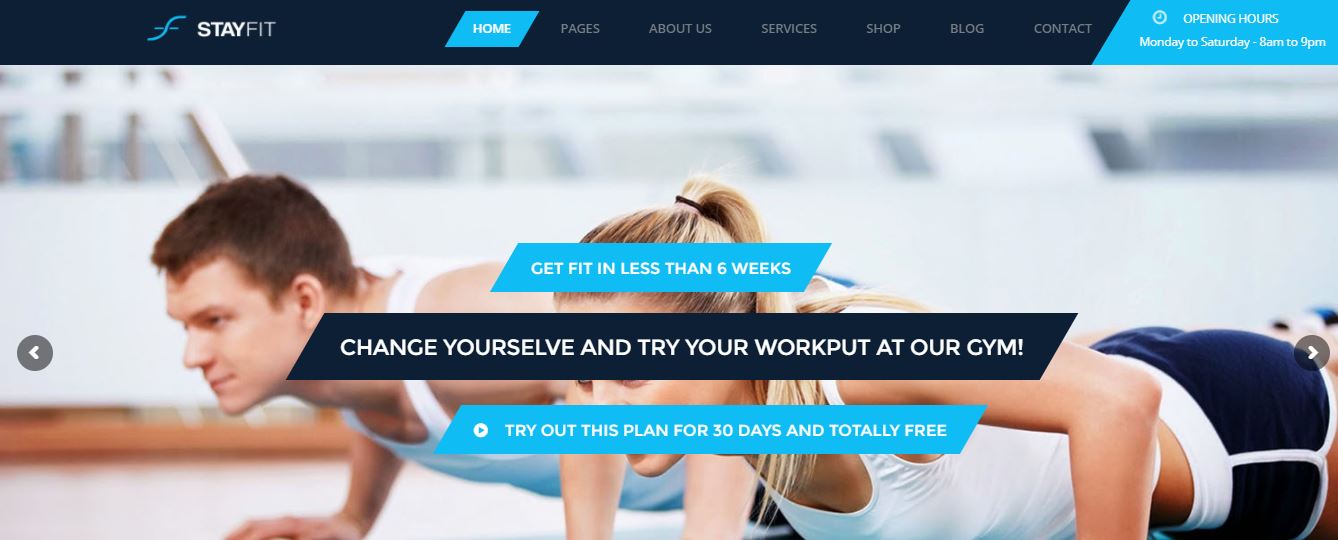 Stayfit is one of best WP theme for health,